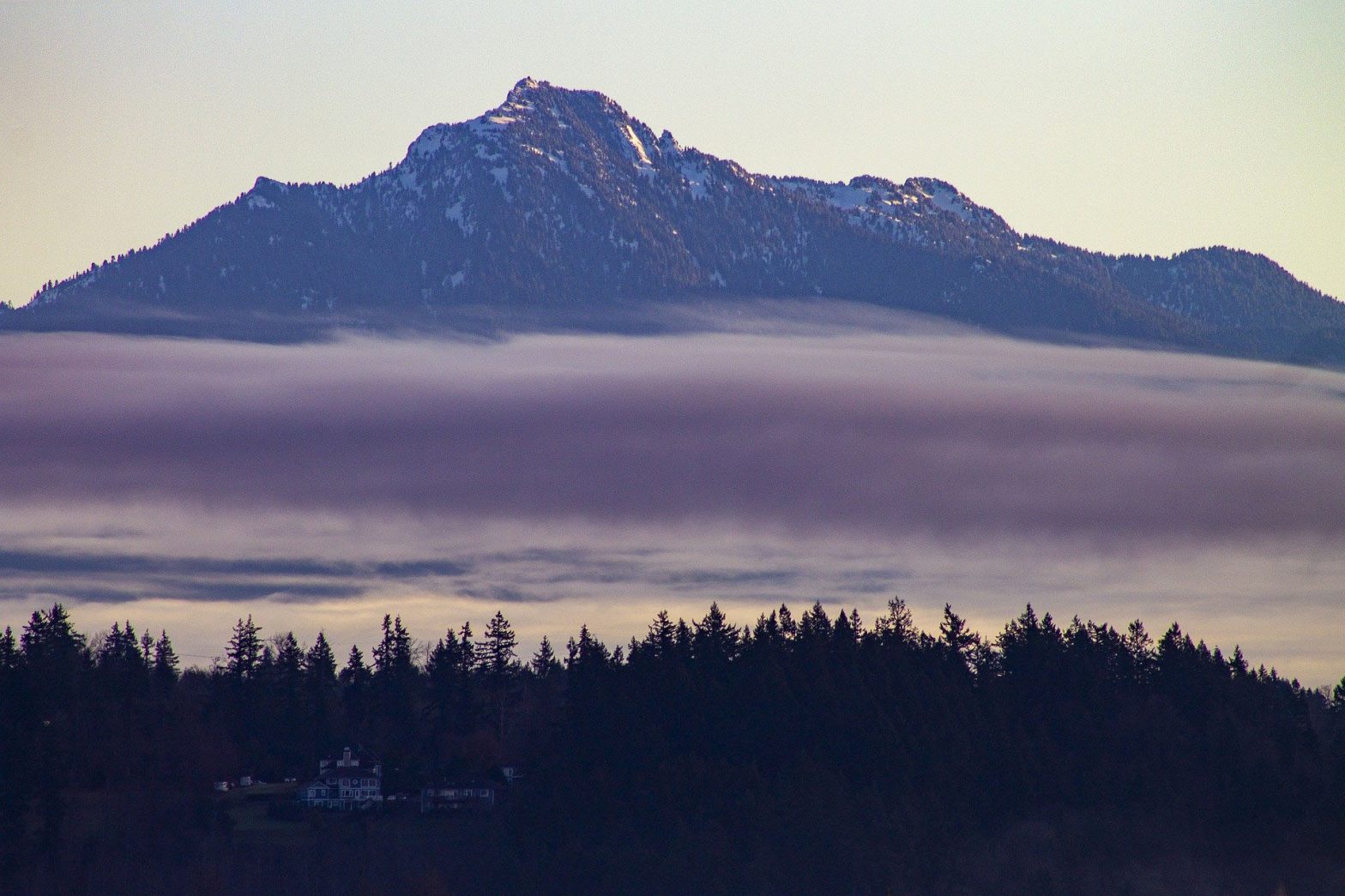 Berg mit Nebel und Wald